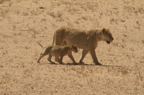Merci mum, j'ai bien mangé !