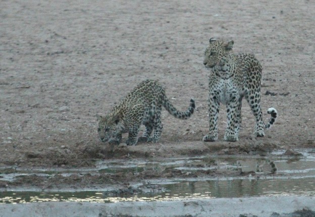 Barolong et Itumeleng
