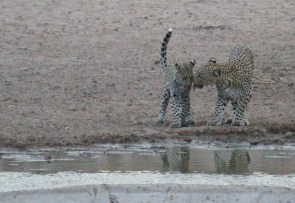 Barolong et Itumeleng