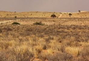 les dunes de Kiliekrankie