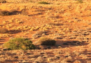 ombres du lever de jour