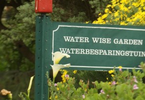 Water Wise Garden