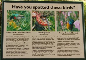 Have you spotted... Avez-vous vu...