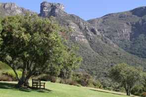 Kirstenbosch