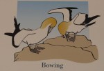 bowing