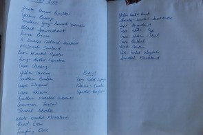 permière liste des oiseaux vus