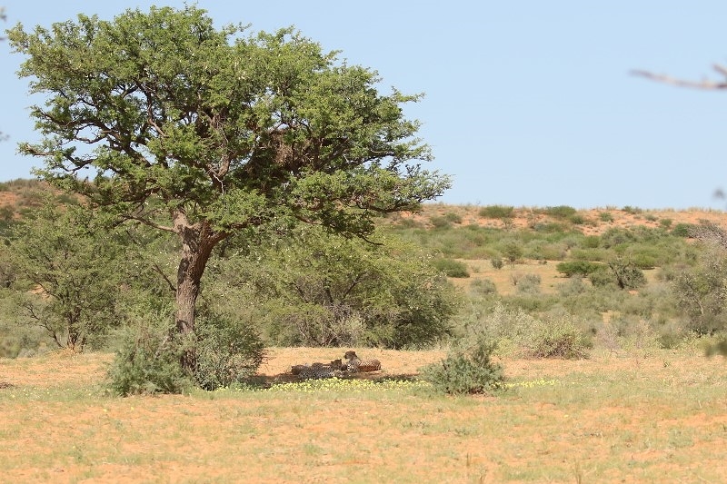 14ème upper road - Les 3 Mousquetaires