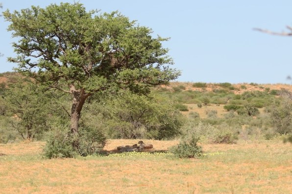 14ème upper road - Les 3 Mousquetaires