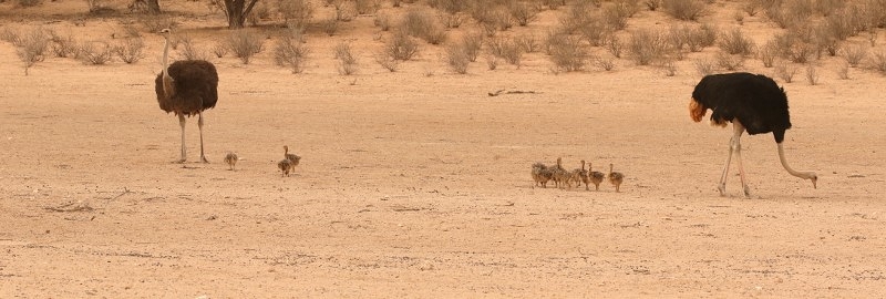 IMG_3149 Panorama (800x270)